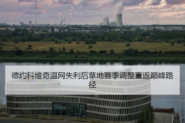 de-yue-ke-wei-qi-wen-wang-shi-li-hou-cao-di-sai-ji-tiao-zheng-chong-fan-dian-feng-lu-jing-2-726.jpg