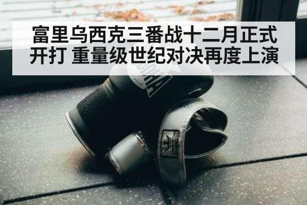 富里乌西克三番战十二月正式开打 重量级世纪对决再度上演