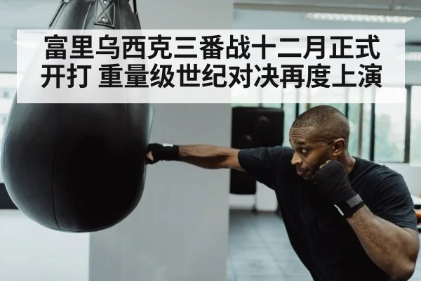 heavyweight boxer punching bag